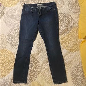 Torrid Jeans Skinny